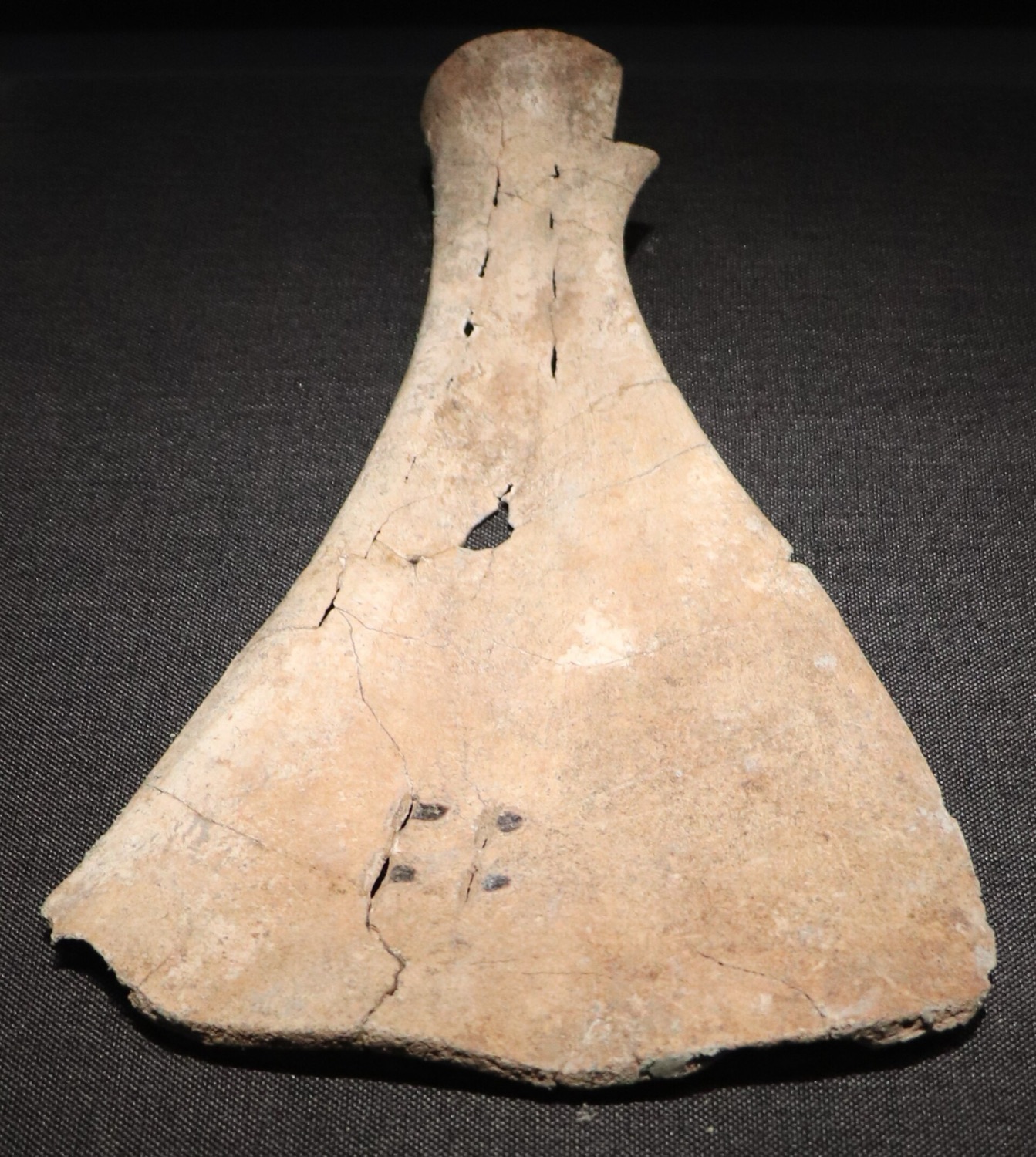 Shang dynasty oracle bone, Anyang, c. 1250–1050 BC